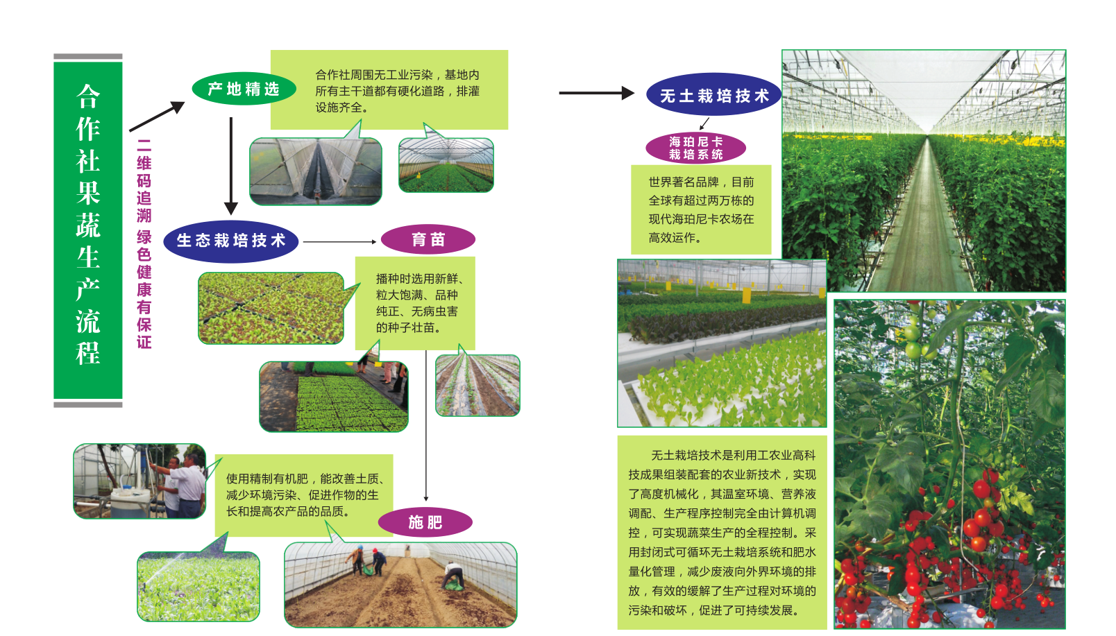 必赢电子游戏电子平台