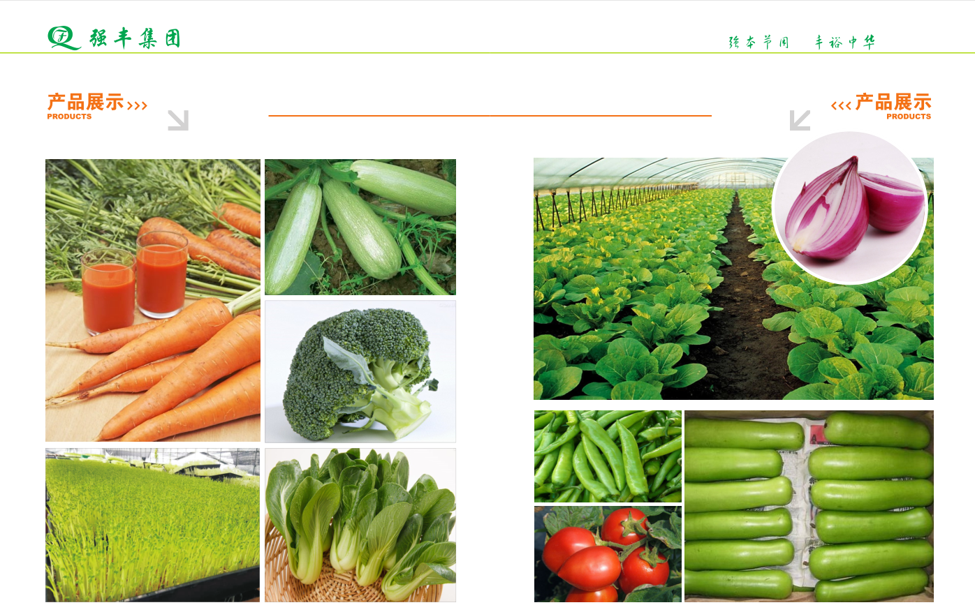 必赢电子游戏电子平台