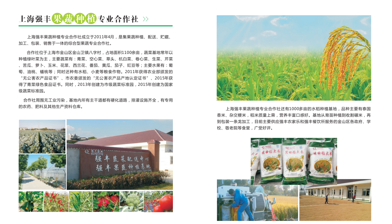 必赢电子游戏电子平台