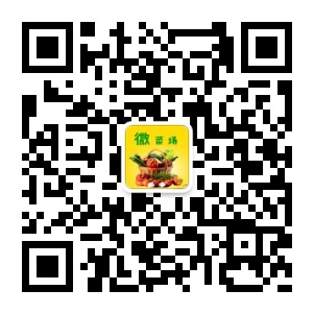 必赢电子游戏电子平台